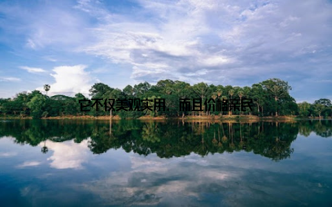 它不仅美观实用, 而且价格亲民