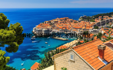 我被它的美丽所吸引, 不禁驻足观赏