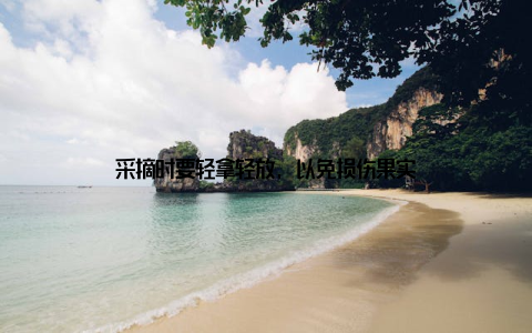 采摘时要轻拿轻放, 以免损伤果实