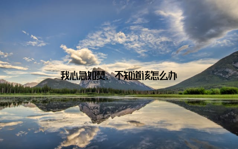 我心急如焚, 不知道该怎么办