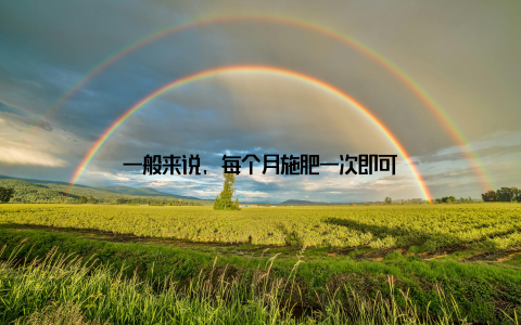 一般来说, 每个月施肥一次即可