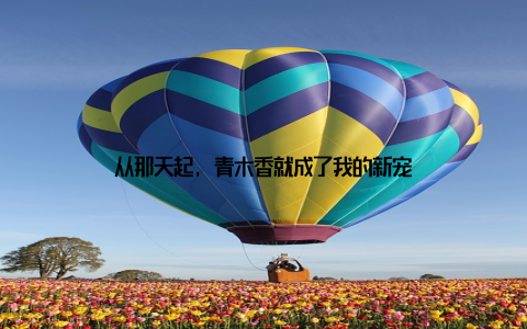 从那天起, 青木香就成了我的新宠