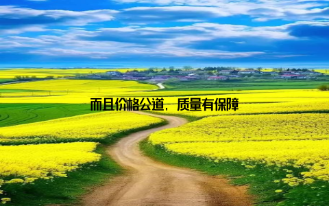 而且价格公道, 质量有保障