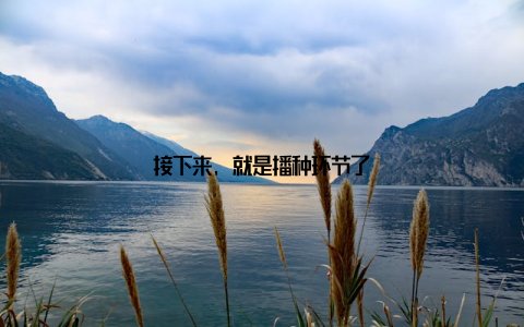 接下来, 就是播种环节了