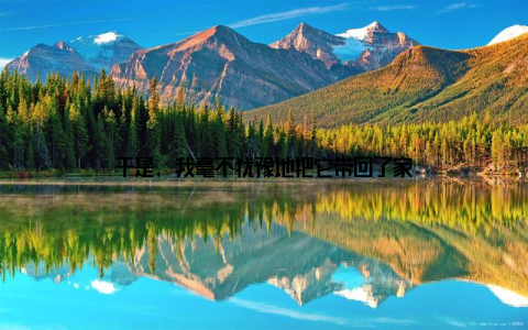 于是, 我毫不犹豫地把它带回了家