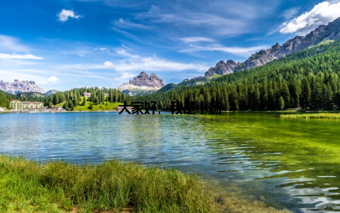 大家好, 我是小杨