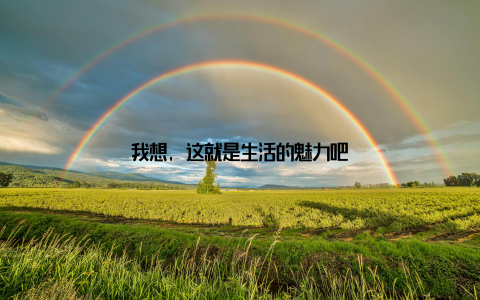 我想, 这就是生活的魅力吧