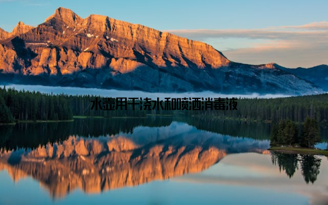 水壶用于浇水和喷洒消毒液