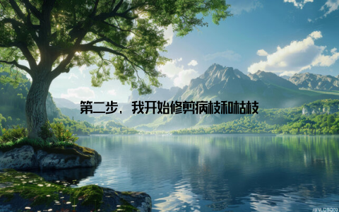 第二步, 我开始修剪病枝和枯枝