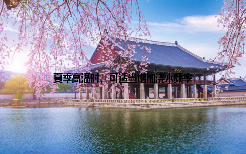 夏季高温时, 可适当增加浇水频率