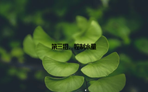 第三招, 控制水量