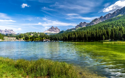 冬季应减少浇水, 保持土壤微湿即可
