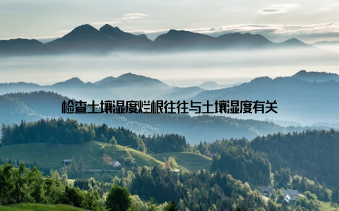 检查土壤湿度烂根往往与土壤湿度有关