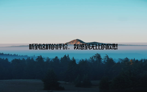 听到这样的评价, 我感到无比的欣慰