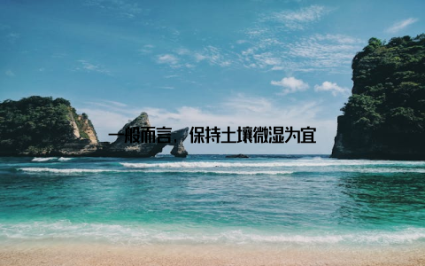 一般而言, 保持土壤微湿为宜