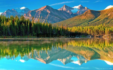 一般每周浇水2-3次即可