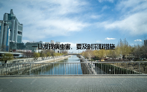 一旦发现病虫害, 要及时采取措施