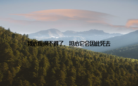 我心疼得不得了, 担心它会因此死去