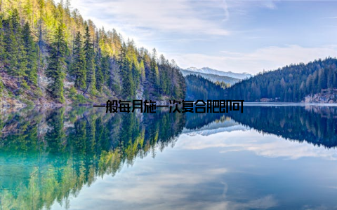 一般每月施一次复合肥即可