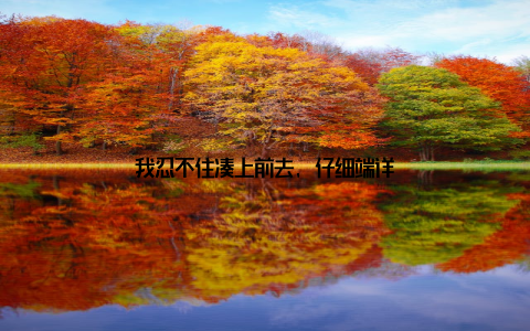 我忍不住凑上前去, 仔细端详