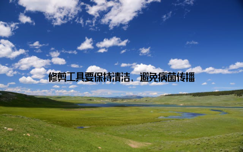 修剪工具要保持清洁, 避免病菌传播