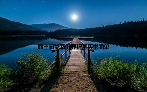 霸王树盆栽的养护其实很简单