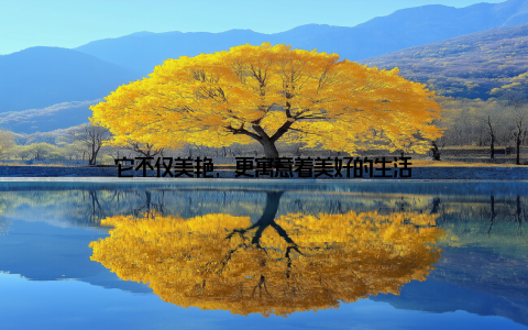 它不仅美艳, 更寓意着美好的生活