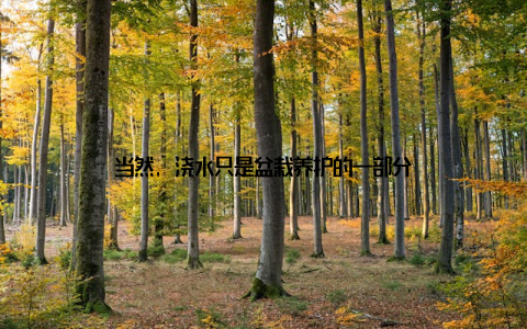 当然, 浇水只是盆栽养护的一部分