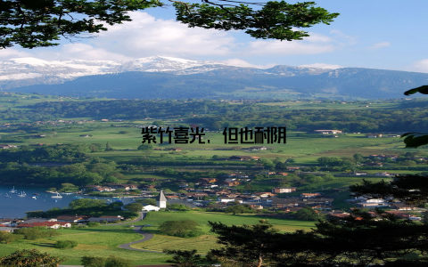 紫竹喜光, 但也耐阴