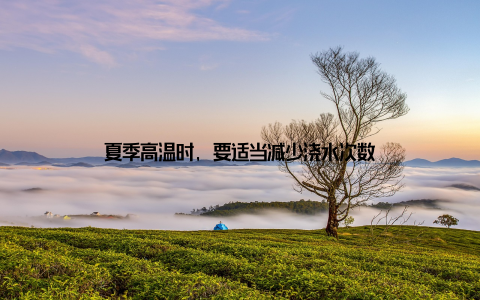 夏季高温时, 要适当减少浇水次数