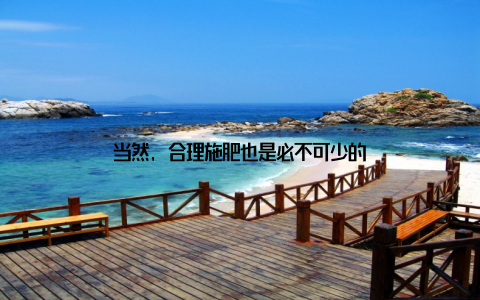 当然, 合理施肥也是必不可少的