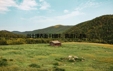 当土壤表面干燥时, 再进行浇水