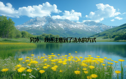 另外, 我还注意到了浇水的方式