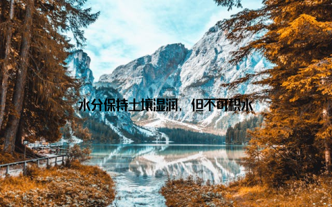 水分保持土壤湿润, 但不可积水