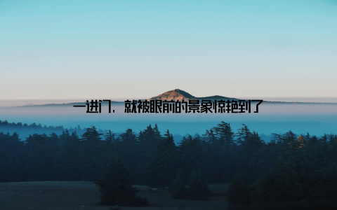 一进门, 就被眼前的景象惊艳到了