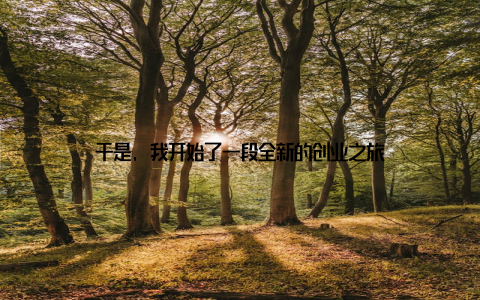 于是, 我开始了一段全新的创业之旅