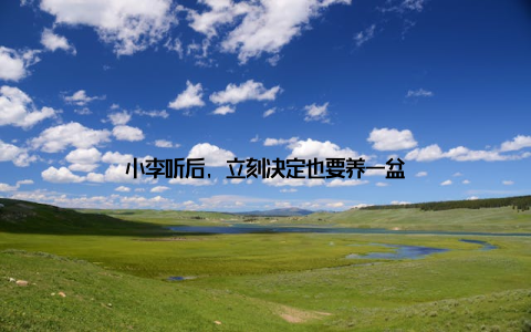 小李听后, 立刻决定也要养一盆