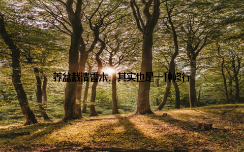 养盆栽清香木, 其实也是一种修行