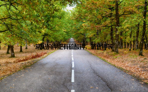 常见的钾肥有硫酸钾、氯化钾等