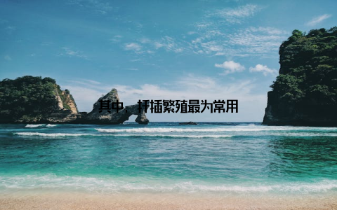 其中, 扦插繁殖最为常用