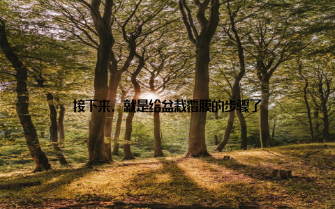 接下来, 就是给盆栽覆膜的步骤了