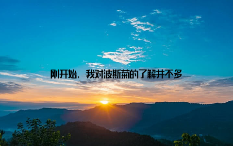 刚开始, 我对波斯菊的了解并不多