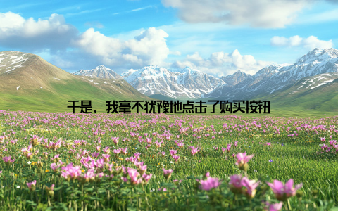 于是, 我毫不犹豫地点击了购买按钮