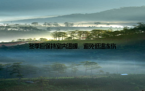 冬季应保持室内温暖, 避免低温冻伤