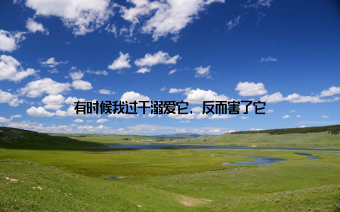 有时候我过于溺爱它, 反而害了它