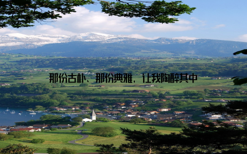 那份古朴、那份典雅, 让我陶醉其中