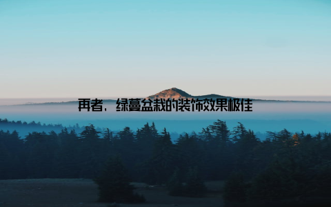 再者, 绿蔓盆栽的装饰效果极佳