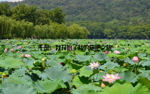 于是, 我开始了我的施肥之旅