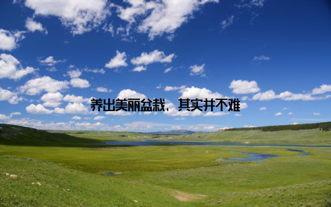 养出美丽盆栽, 其实并不难