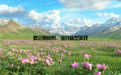 要定期修剪, 保持株型美观